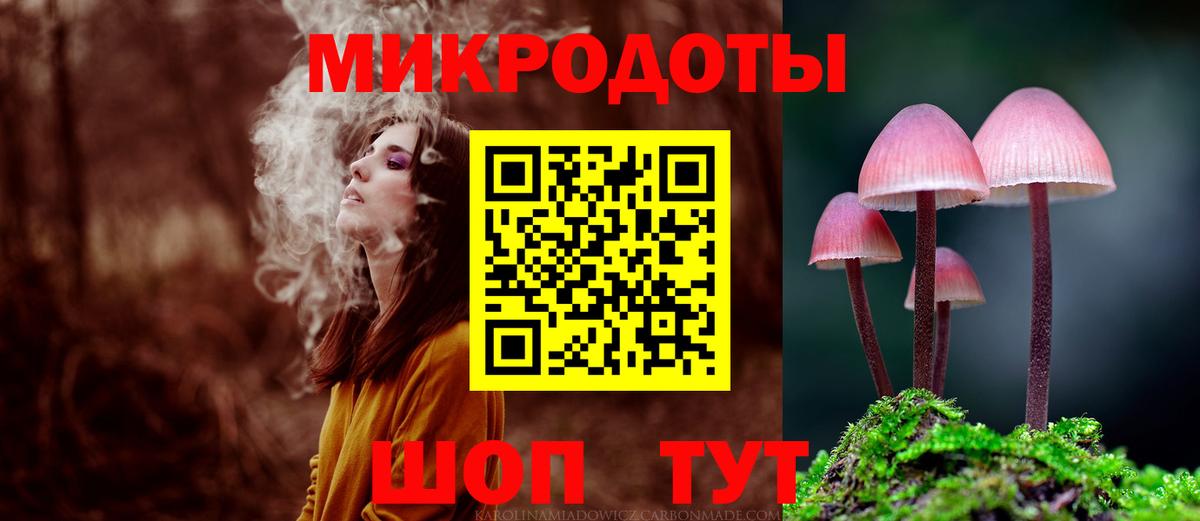 Галлюциногенные грибы Psilocybe Анапа